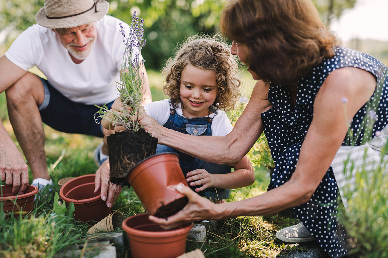 Estate Legacy Planning Services | PlanWealth Financial Group